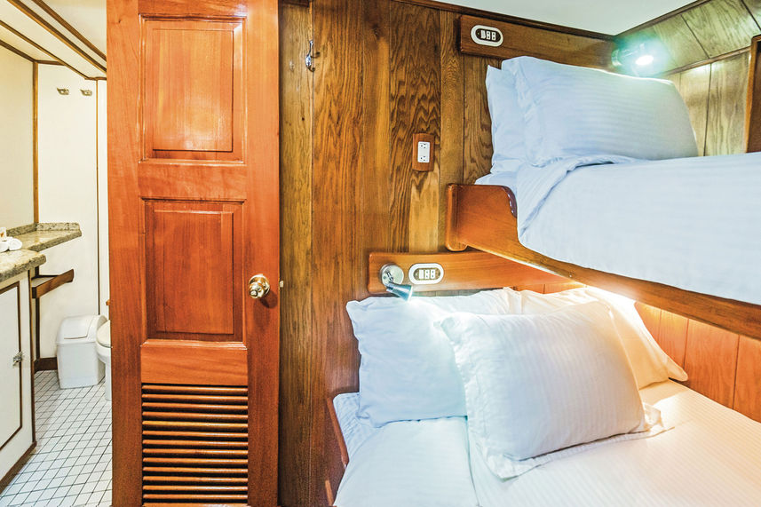 Stateroom - Nautilus Under Sea