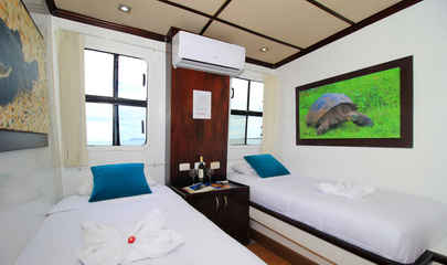 Twin Cabin