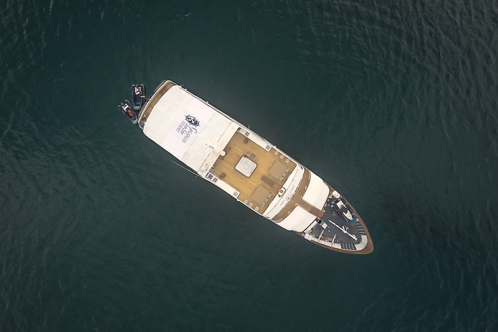 Aerial View - Galapagos Sea Star