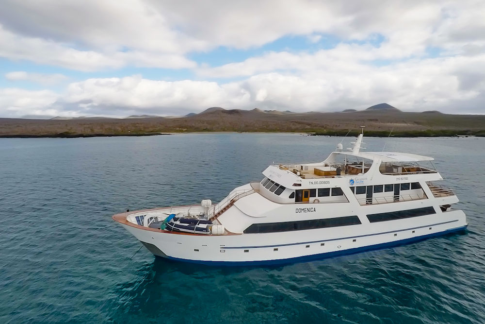 Galapagos Sea Star