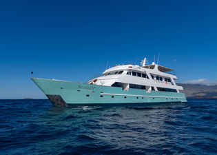 Galapagos Sea Star