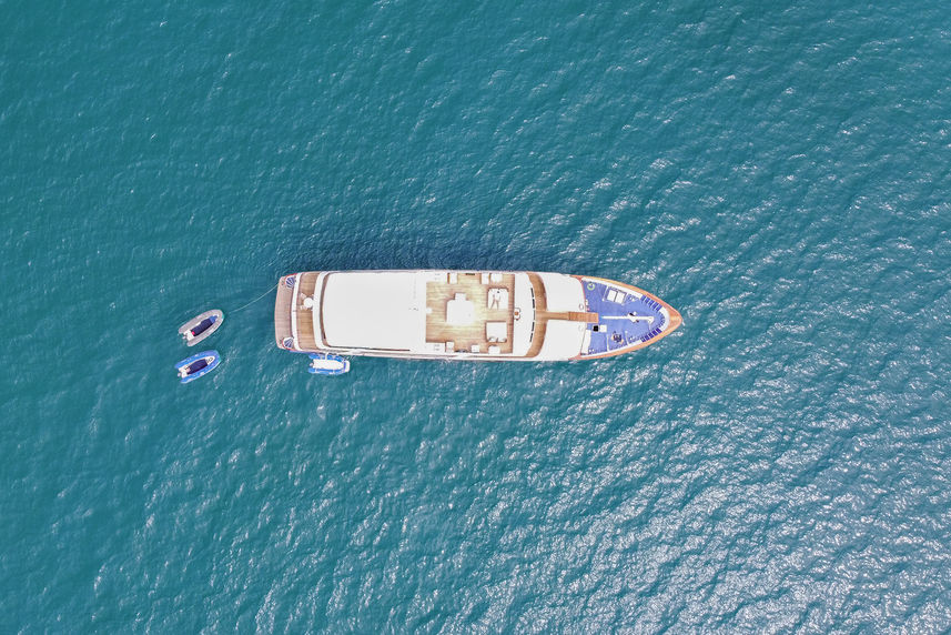 Aerial View - Galapagos Sea Star