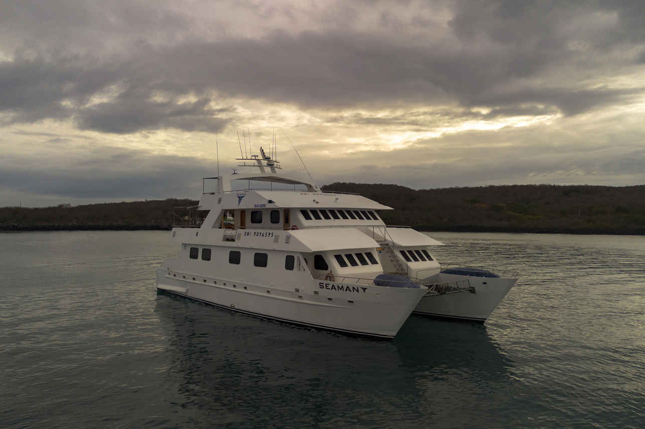 Seaman Journey
