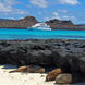 Resting sealions