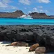 Resting sealions