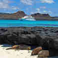 Lions de mer  - Seaman Journey