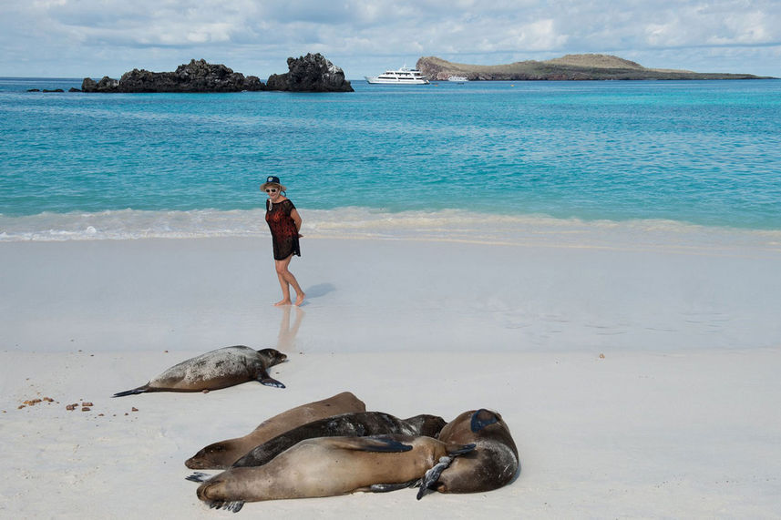 Sleepy Galapagos Sea Lions