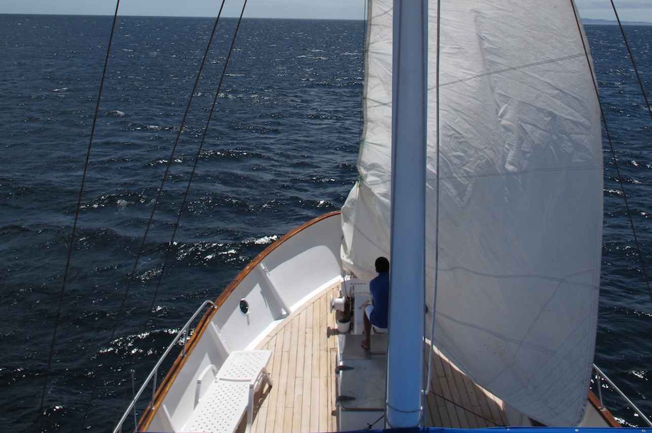 Samba Galapagos