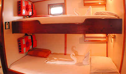 The Cabins