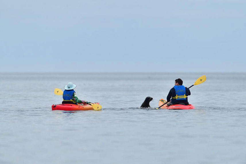 Kayaking