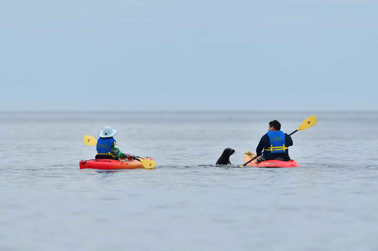 Kayaking
