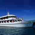 MV Hallelujah Thailand