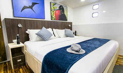 Lower Deck Cabin