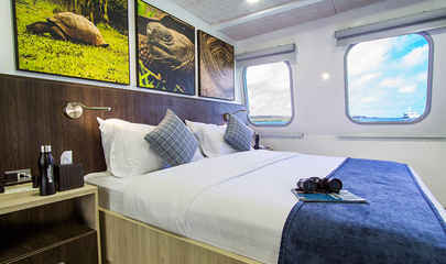 Jr. Suites Main Deck