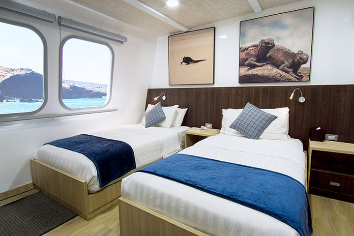 Main Deck Standard Cabins