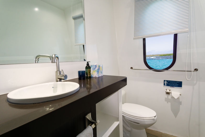 Main Deck Standard Cabins Bathroom