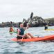 Kayaks an Board - Natural Paradise