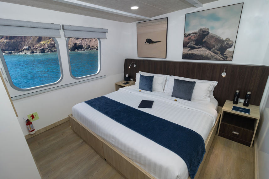 Main Deck Cabin
