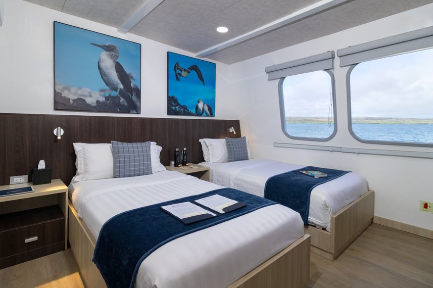 Main Deck Cabin