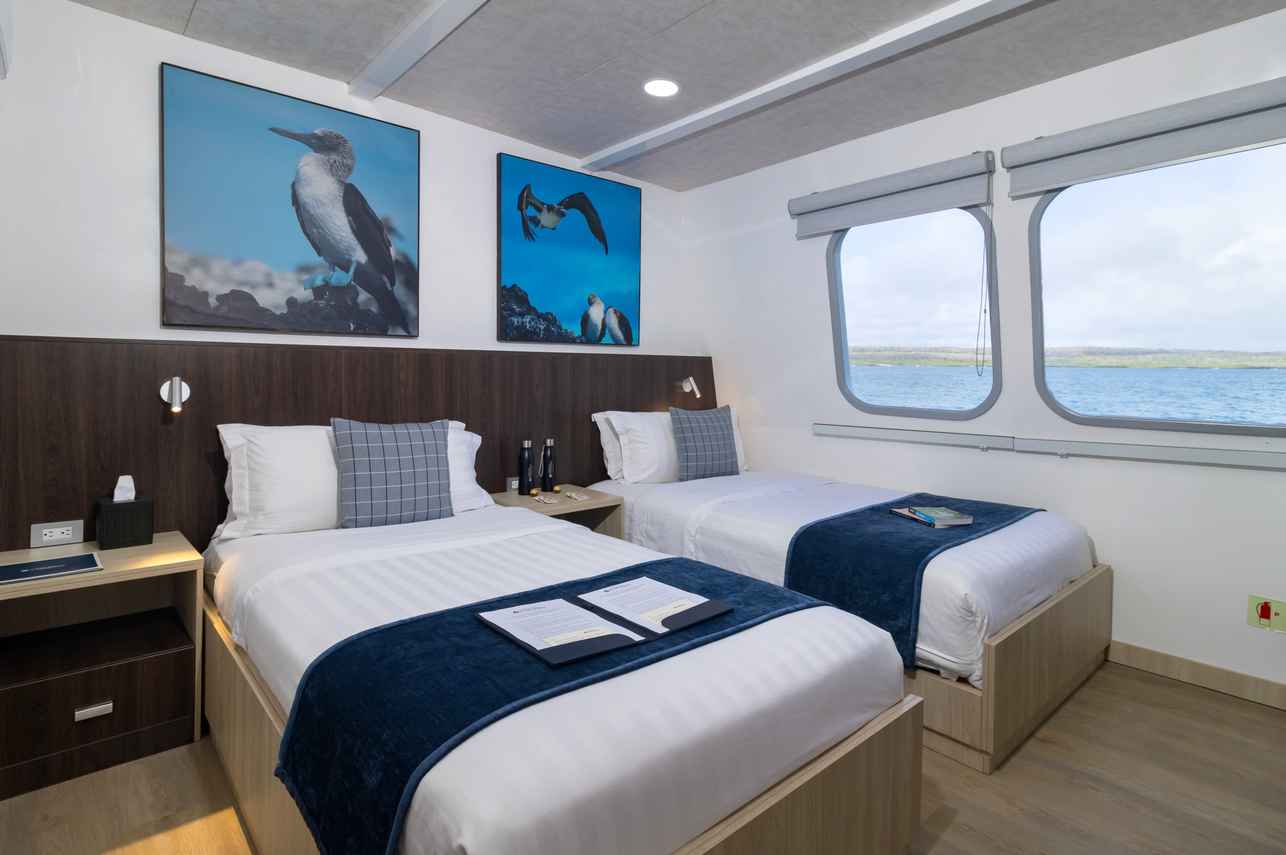Main Deck Cabin