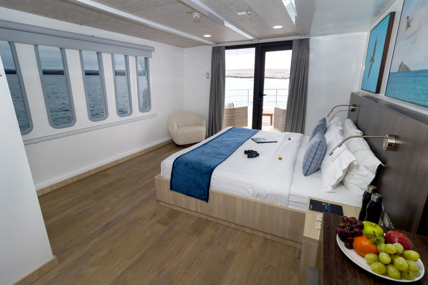 Upper Deck Suite