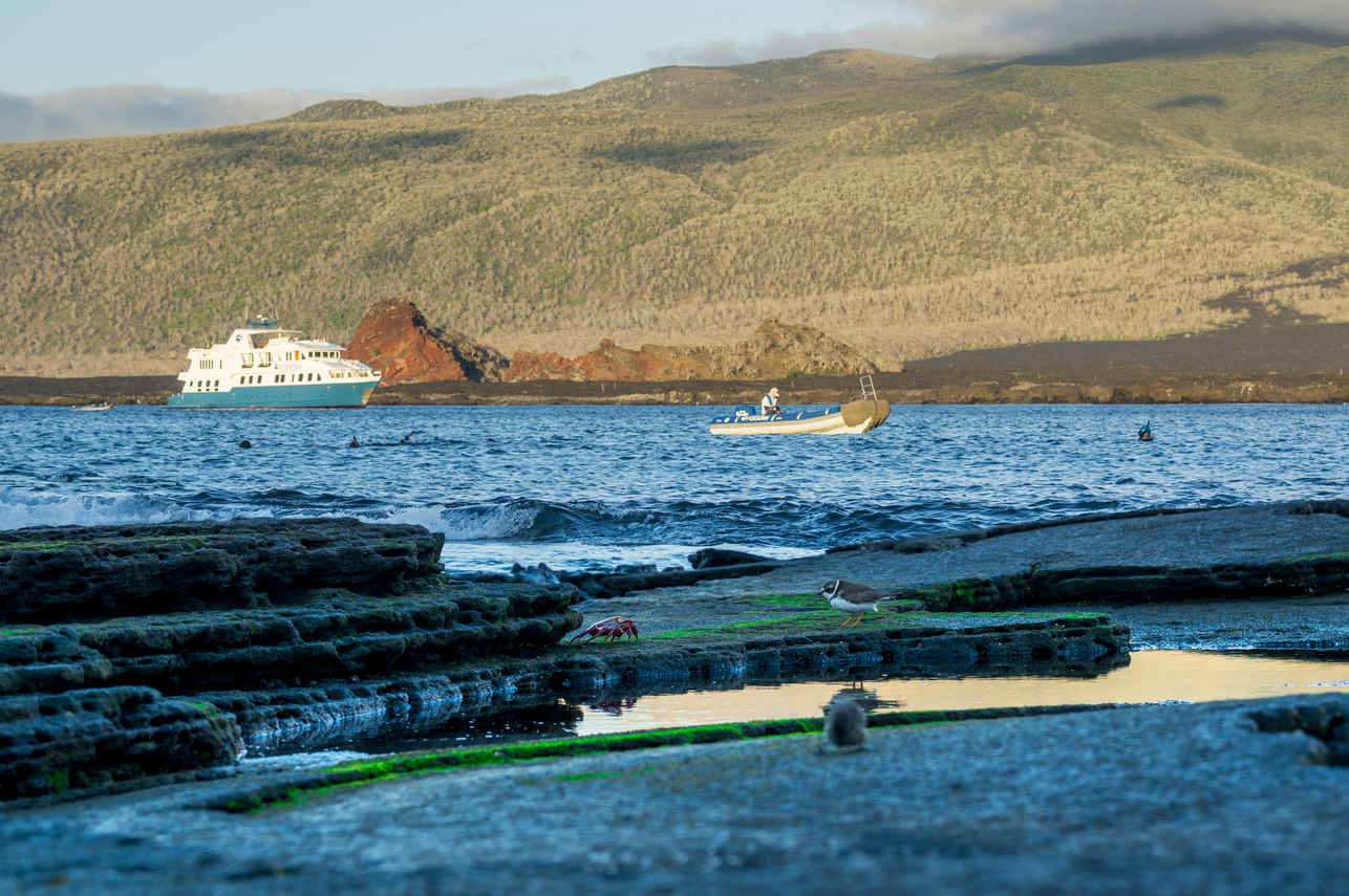 岛屿探险 - Natural Paradise