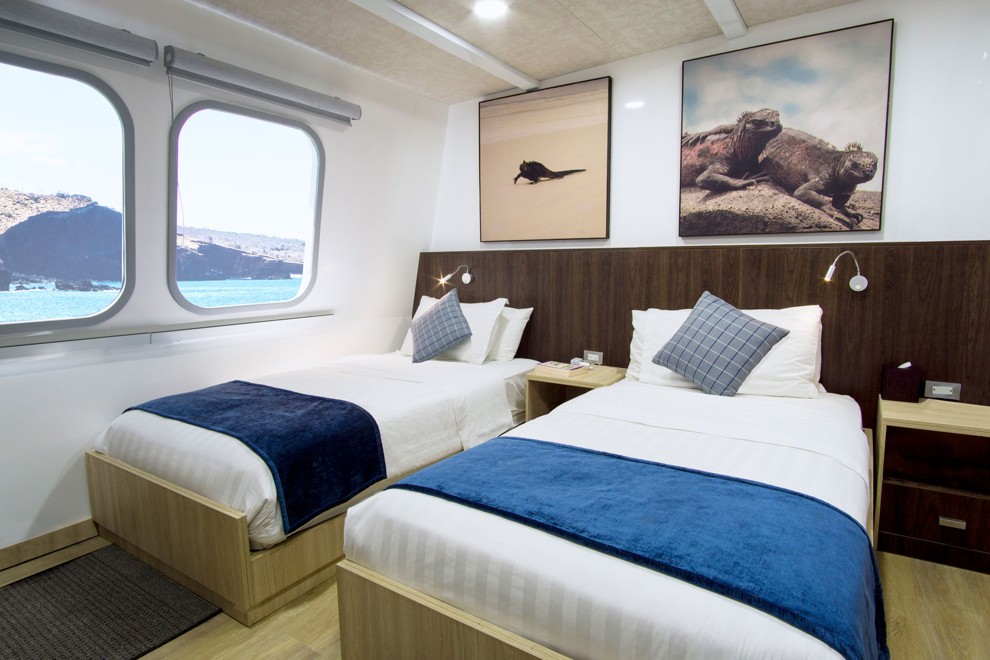 Main Deck Cabin - Natural Paradise