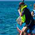 Snorkelling - Natural Paradise