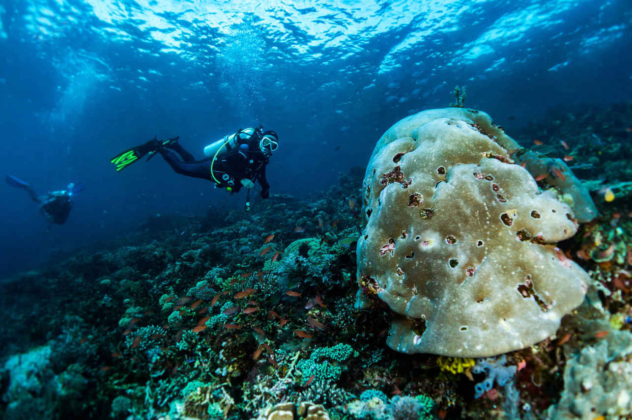 Diving