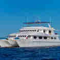 Tip Top II Galapagos