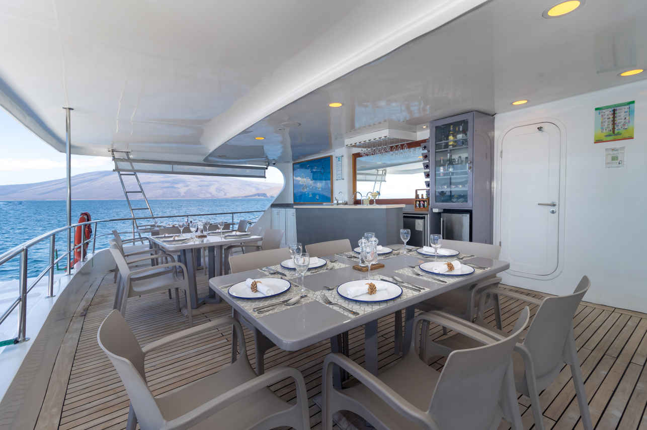 Bar en Lounge - Tip Top II