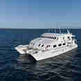 Tip Top II Galapagos