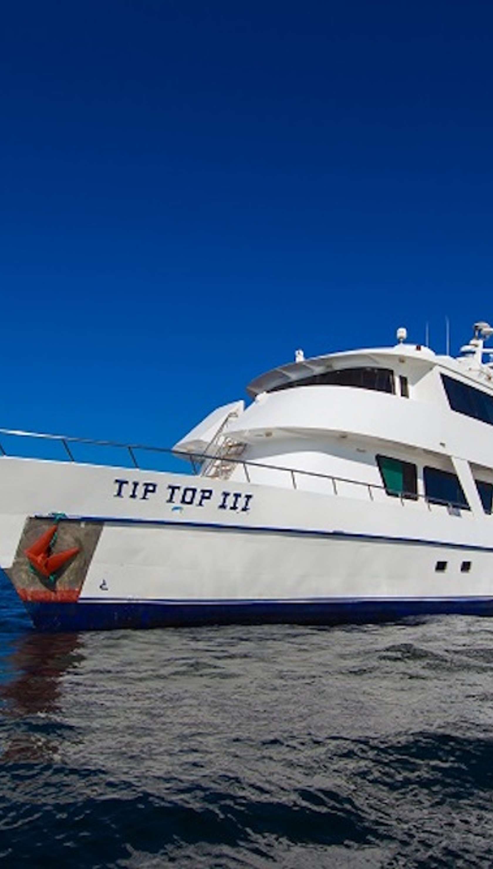 Tip Top III