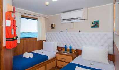 Twin Cabins 9 & 10