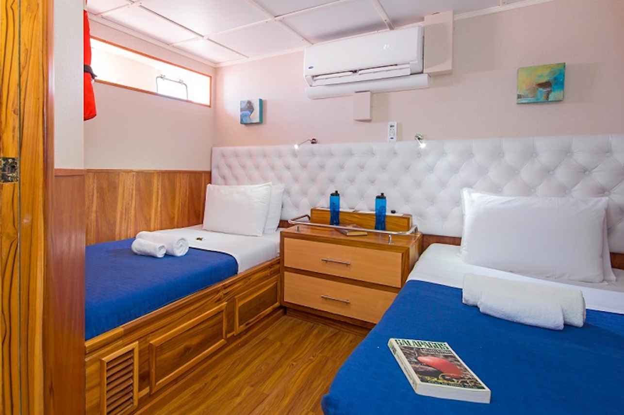 Lower Deck Twin Cabin - Tip Top III