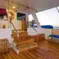 Snorkel Deck - Tip Top III Galapagos