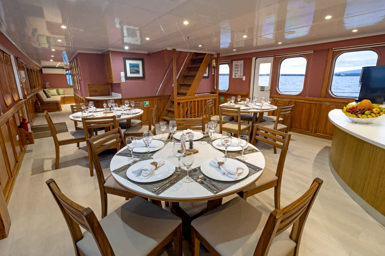 Dining Room - Tip Top IV