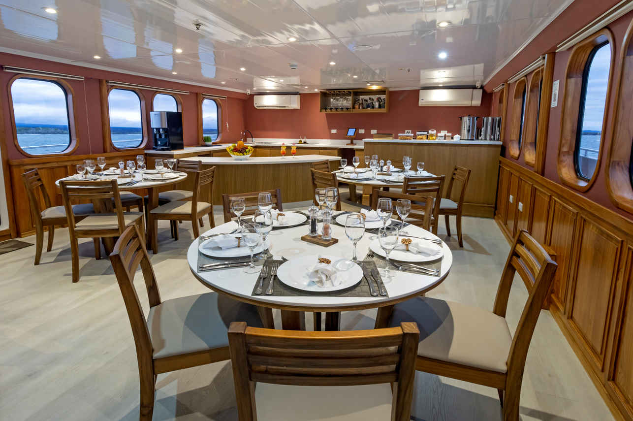 Dining Room - Tip Top IV