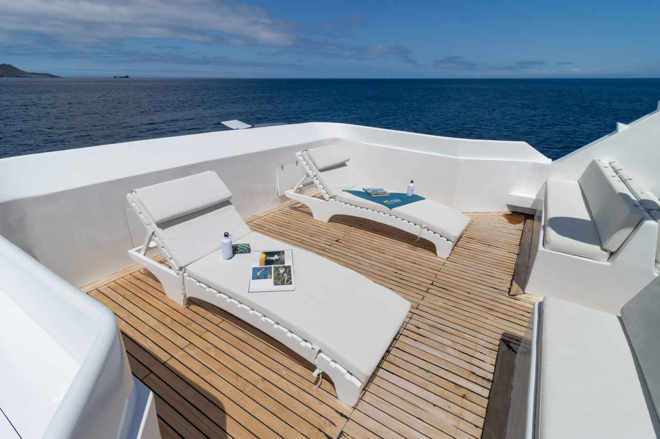 Sun Deck - Tip Top IV