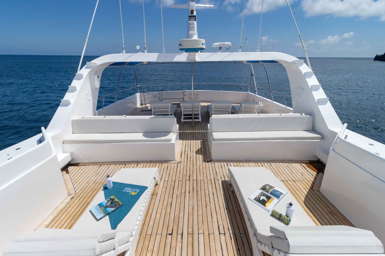 Sun Deck - Tip Top IV