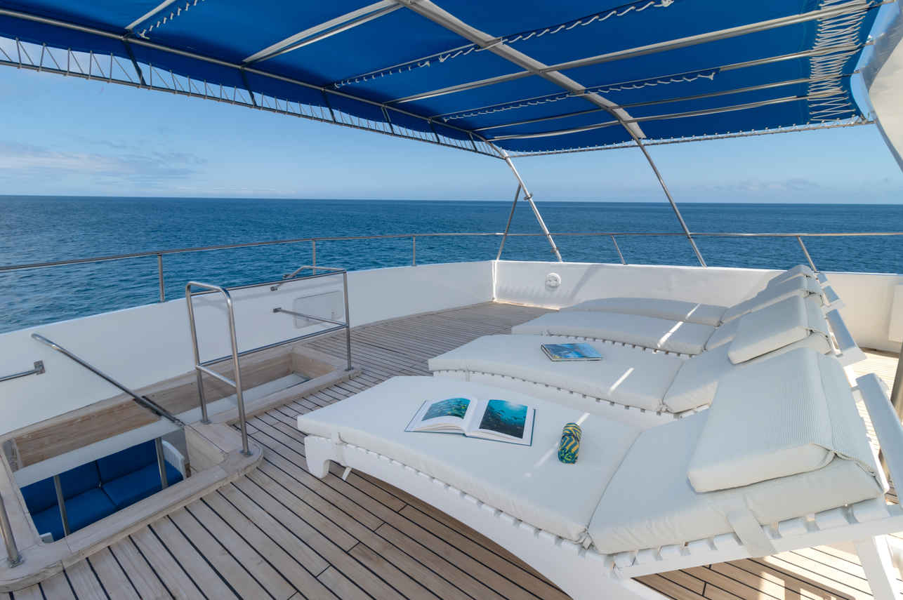 Sun Deck - Tip Top IV