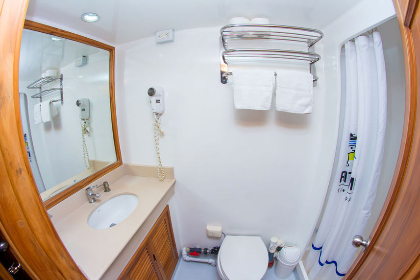 En-Suite bathrooms - Tip Top IV