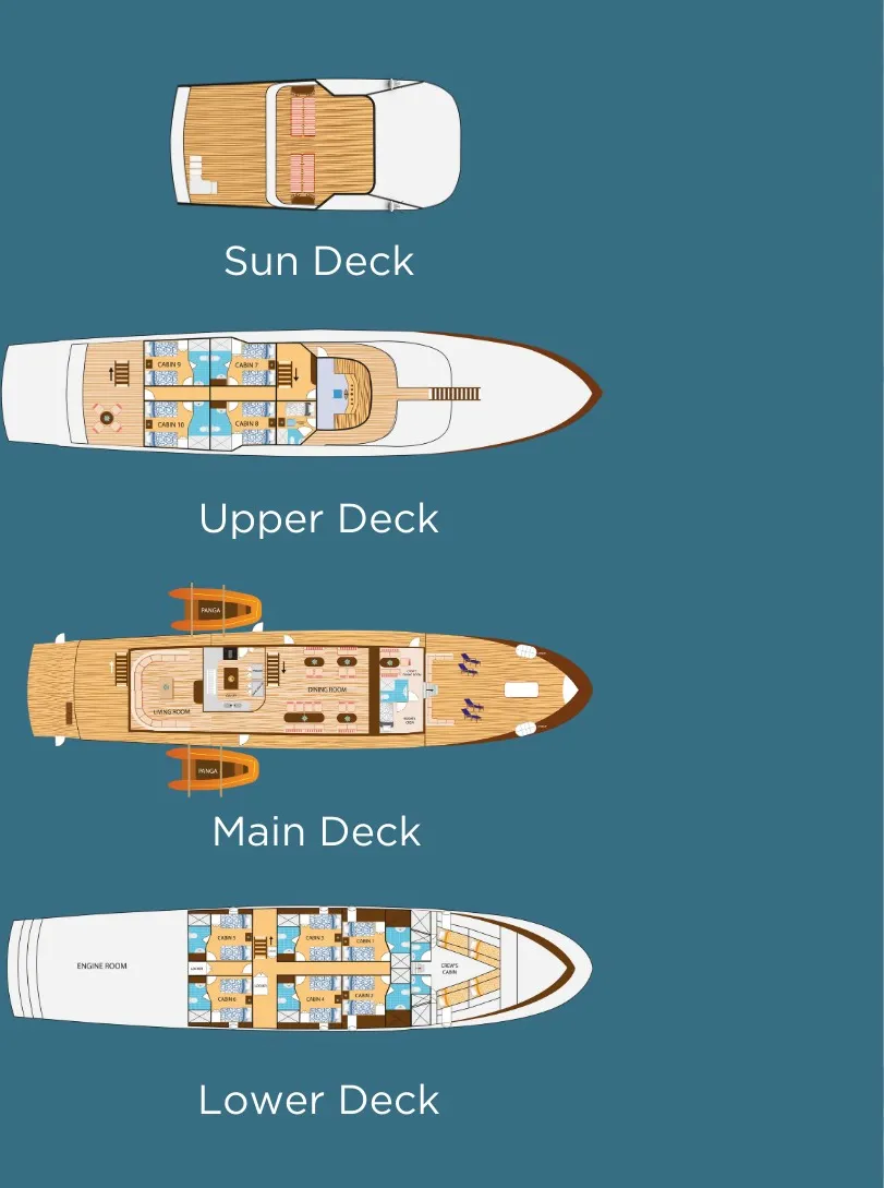 #deckplan floorplan