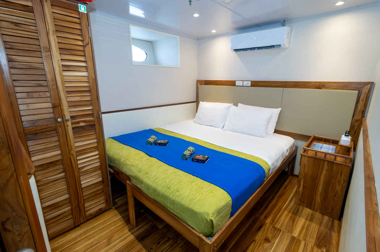 Lower Deck Cabin - Tip Top IV