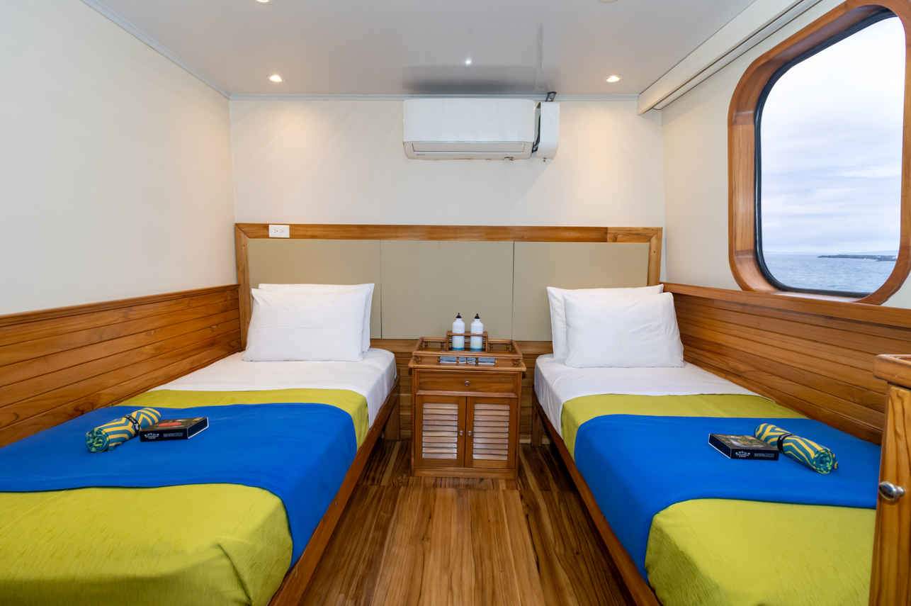 Upper Deck Cabin - Tip Top IV