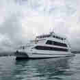Queen of the Galapagos