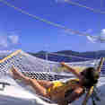 Sun Deck - All Star Cuan Law