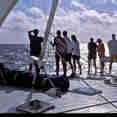 Sun Deck - All Star Cuan Law