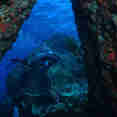 Diving