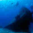 Diving